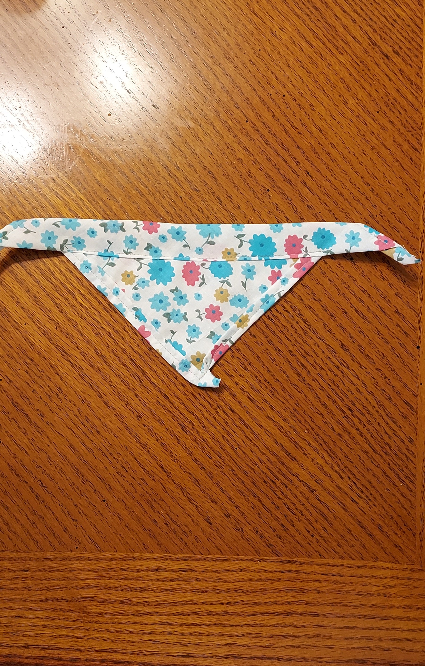 Over The Collar Bandana for Cat or Small Dog